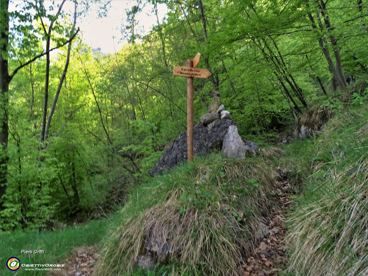 71 Rientro alla Madonna seguendo il sentiero recuperato.JPG